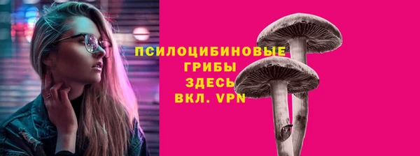 мяу мяу кристалл Покачи