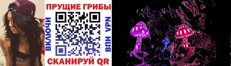 купить  сайты  Кандалакша  Псилоцибиновые грибы Cubensis 